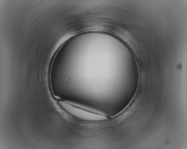 X0000097921426200803281415