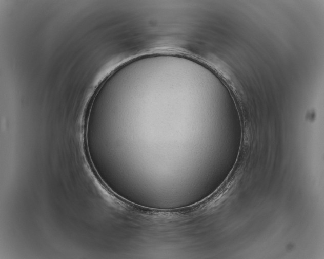 X0000097921430200803281415