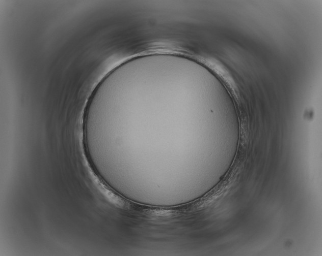 X0000097921431200803281415