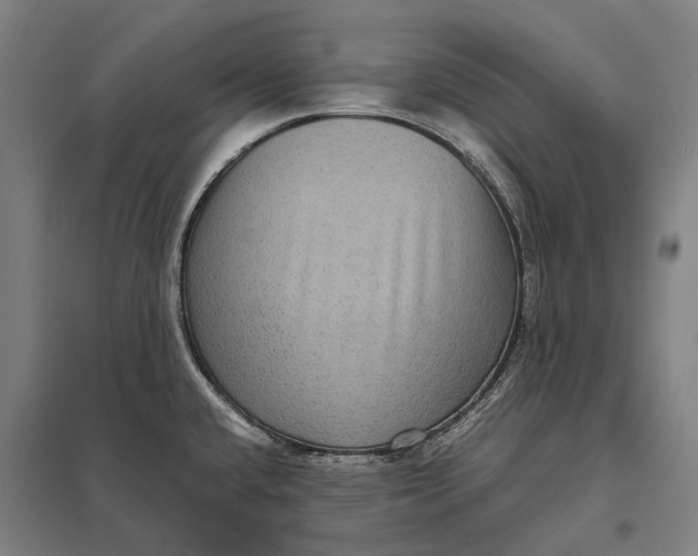 X0000097921432200803281415