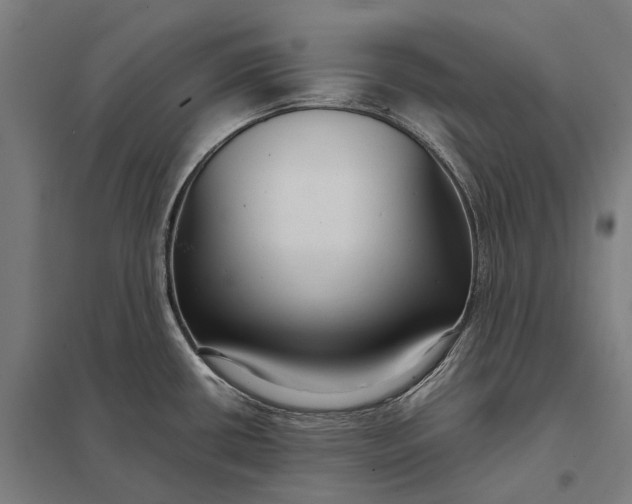 X0000097921434200803281415