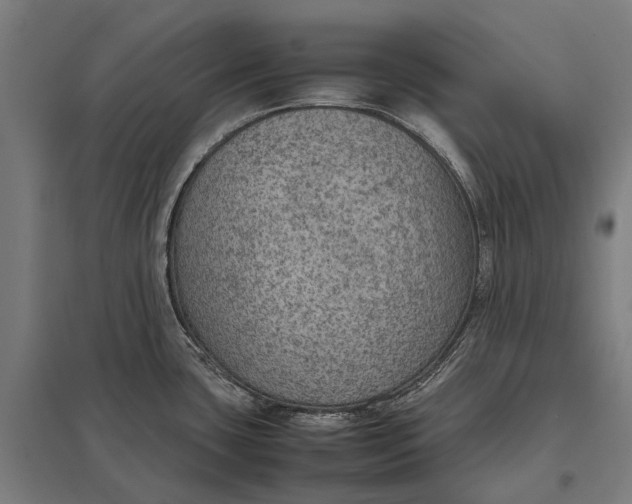 X0000097921435200803281415