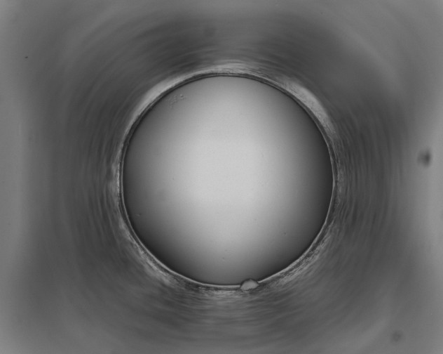 X0000097921436200803281415