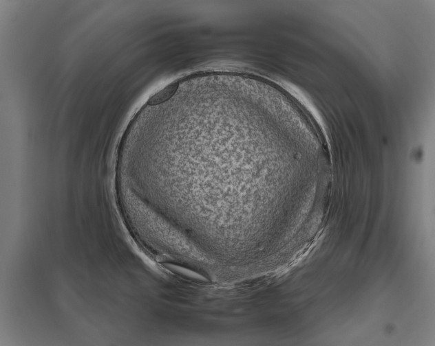 X0000097921437200803281415