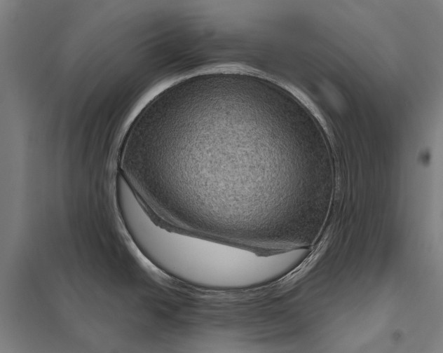 X0000097921438200803281415