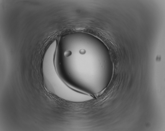 X0000097921441200803281415