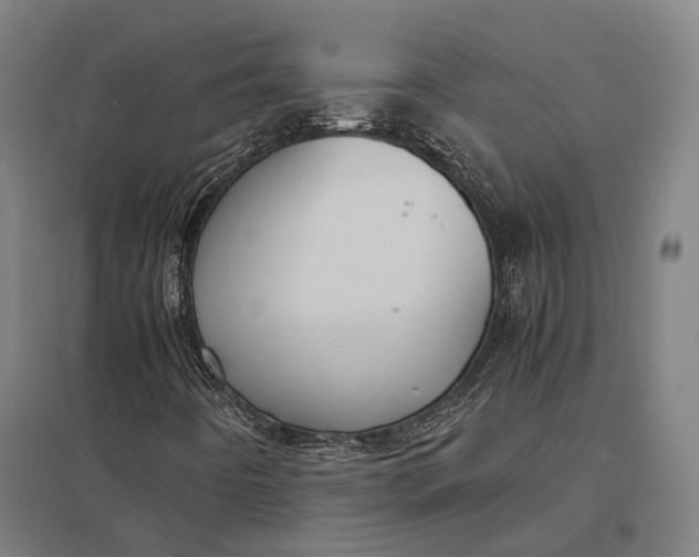 X0000097921442200803281415