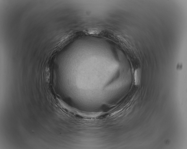 X0000097921443200803281415