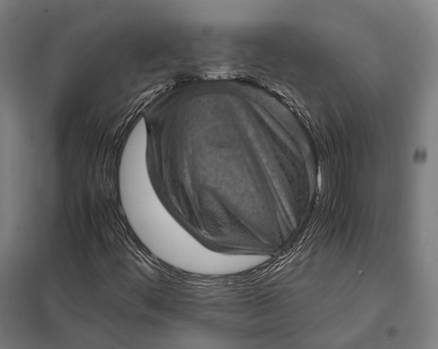 X0000097921444200803281415