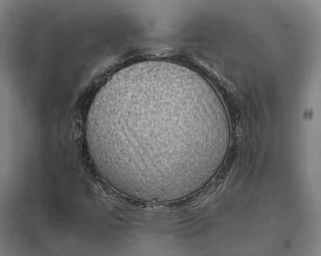 X0000097921447200803281415