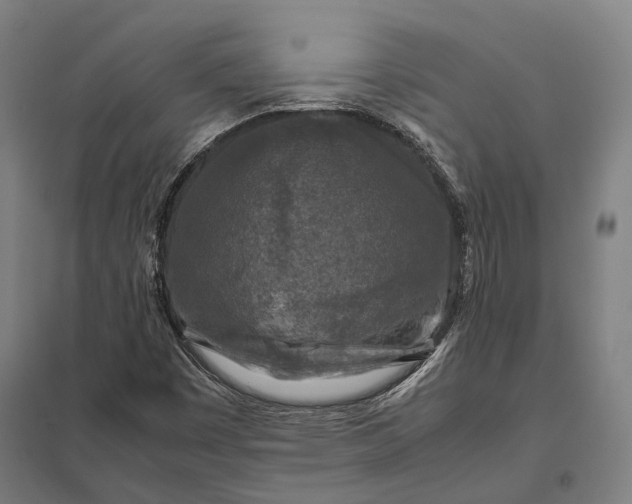 X0000097921449200803281415