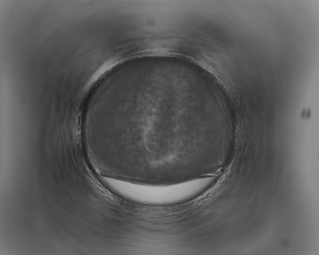 X0000097921450200803281415