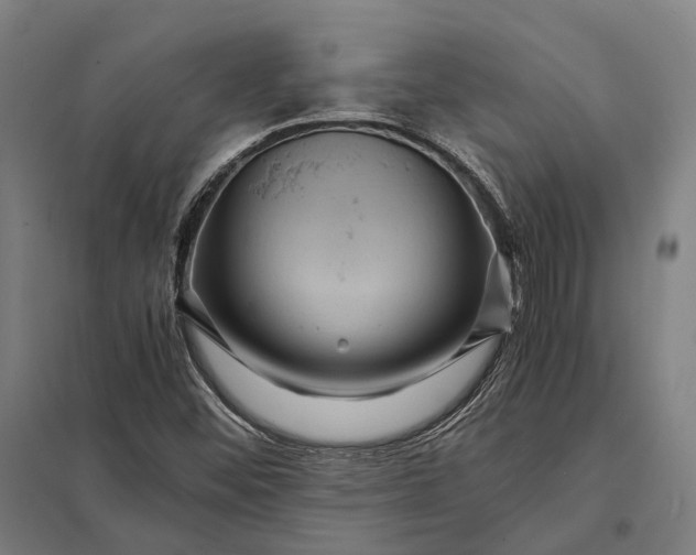 X0000097921452200803281415