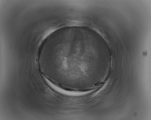 X0000097921453200803281415