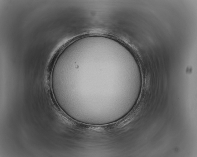 X0000097921454200803281415