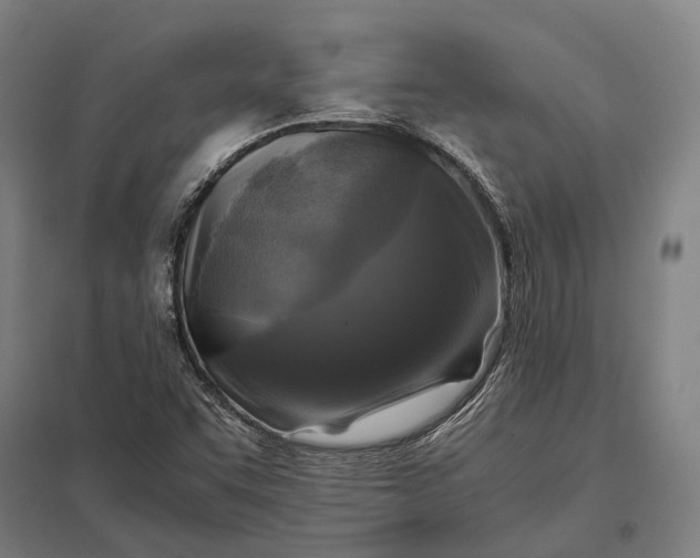 X0000097921455200803281415