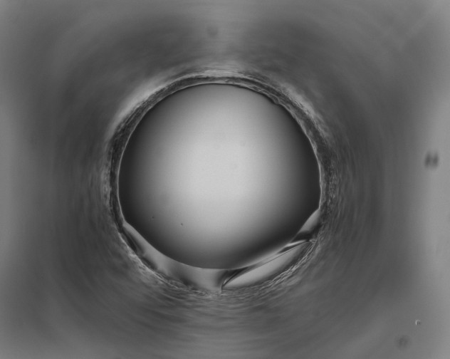 X0000097921456200803281415