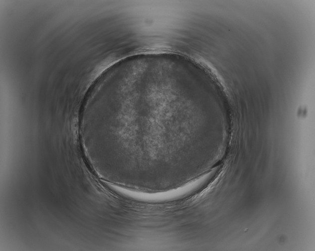 X0000097921457200803281415