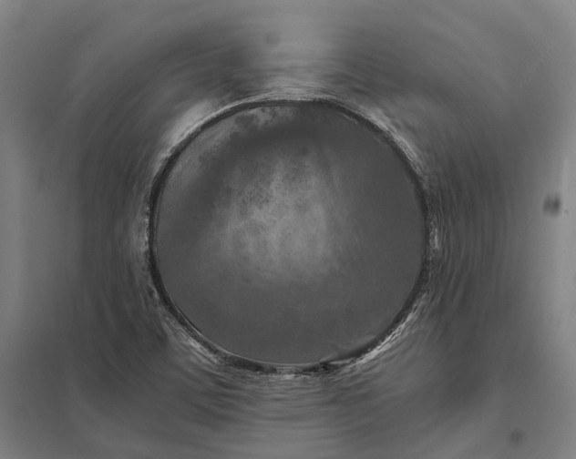 X0000097921459200803281415