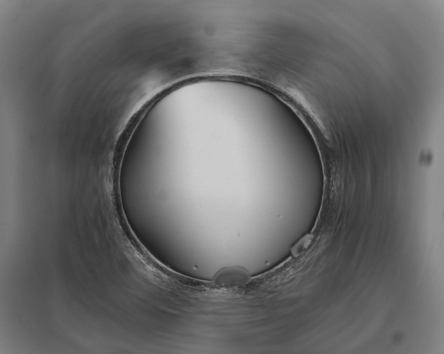 X0000097921460200803281415