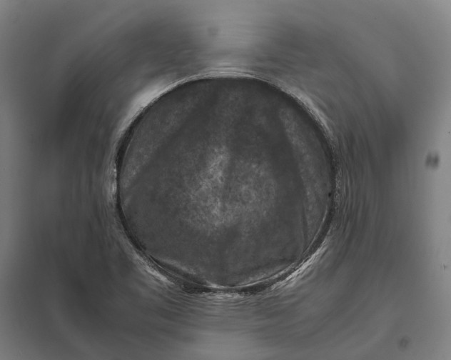 X0000097921461200803281415