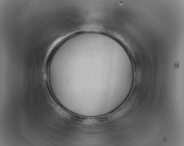 X0000097921462200803281415