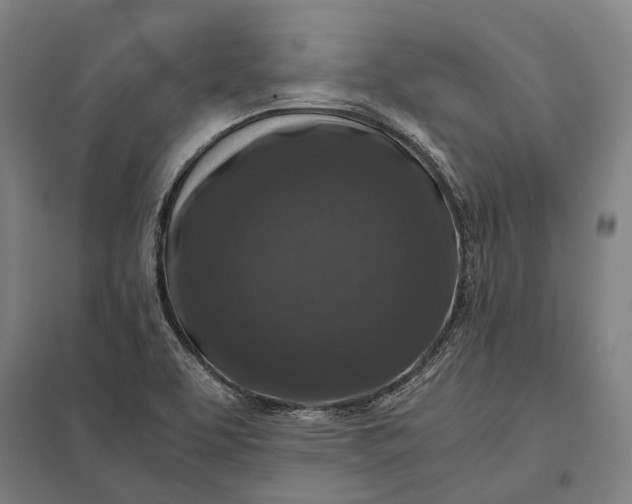 X0000097921463200803281415