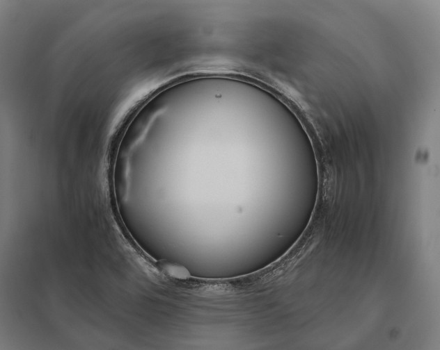 X0000097921464200803281415