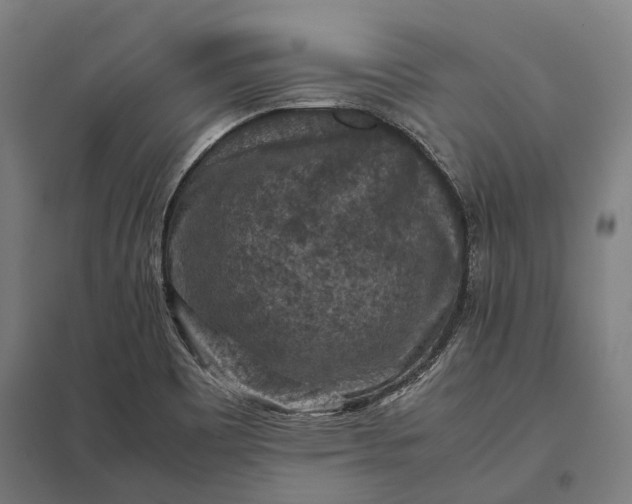 X0000097921465200803281415