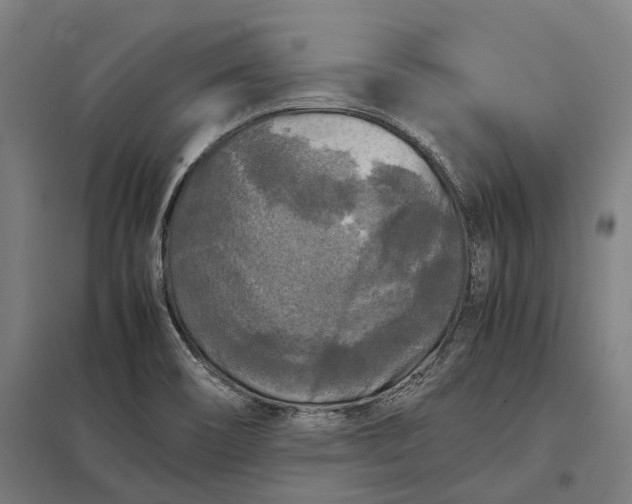 X0000097921466200803281415