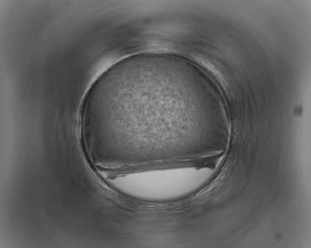 X0000097921467200803281414