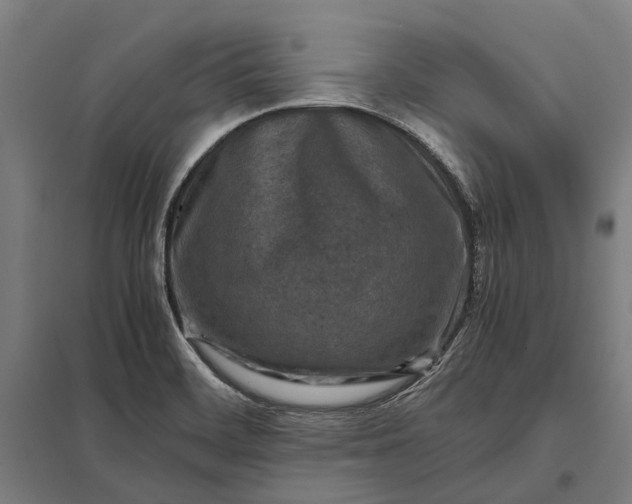 X0000097921468200803281414