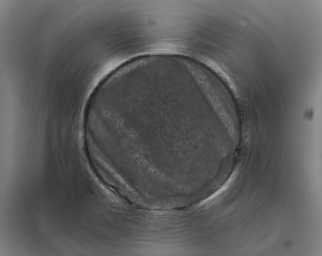 X0000097921469200803281414