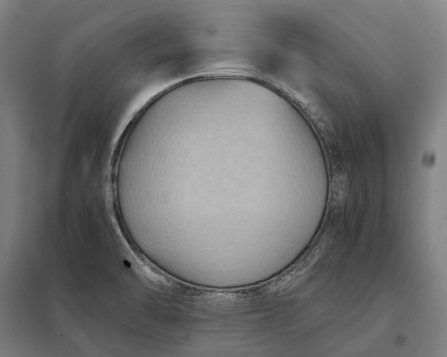 X0000097921470200803281414