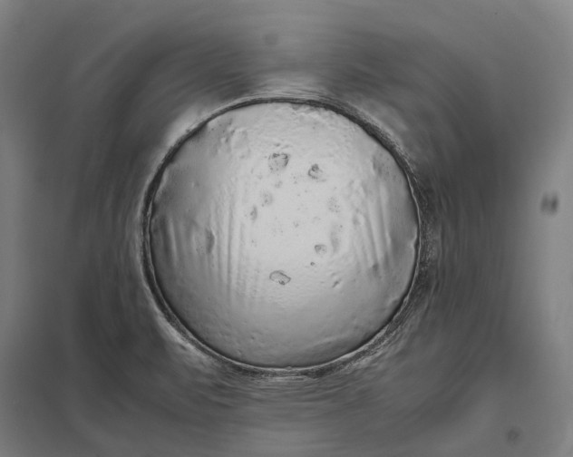 X0000097921471200803281414