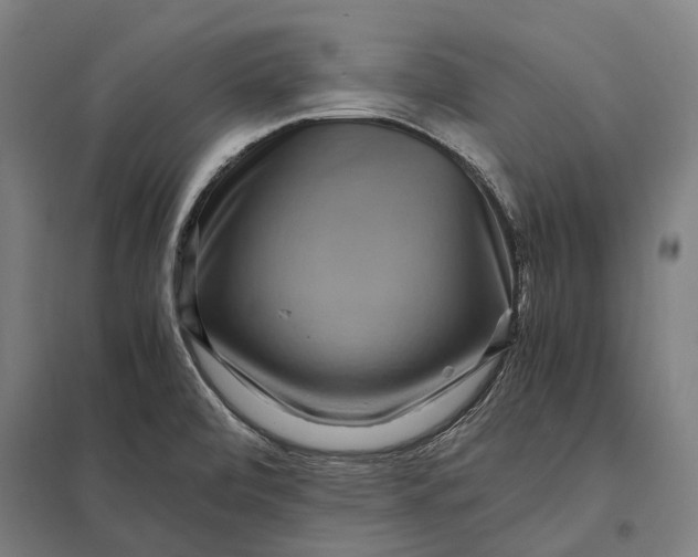 X0000097921472200803281414