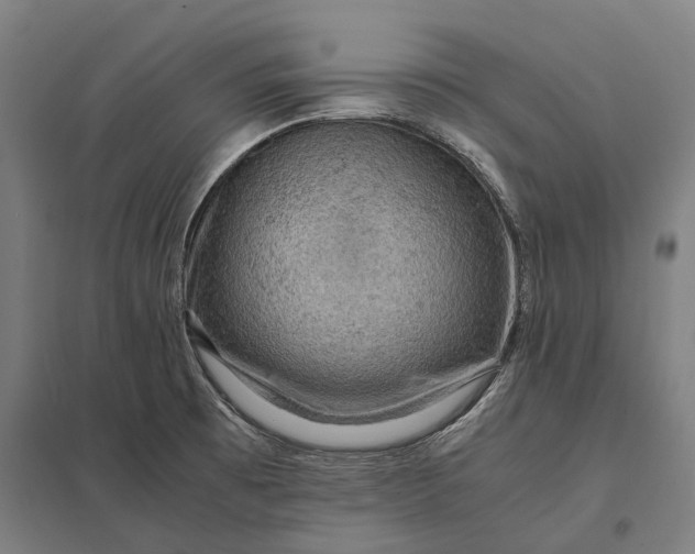 X0000097921473200803281414