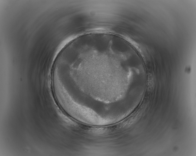 X0000097921474200803281414