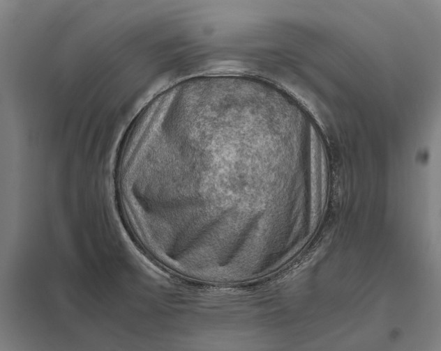 X0000097921475200803281414