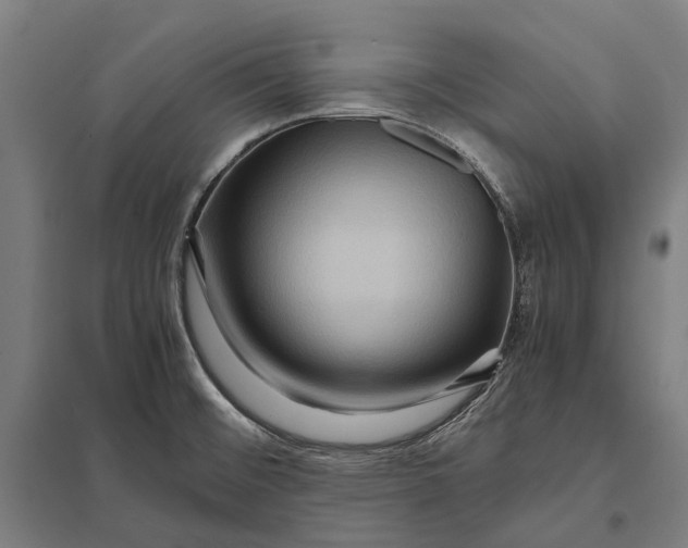 X0000097921476200803281414