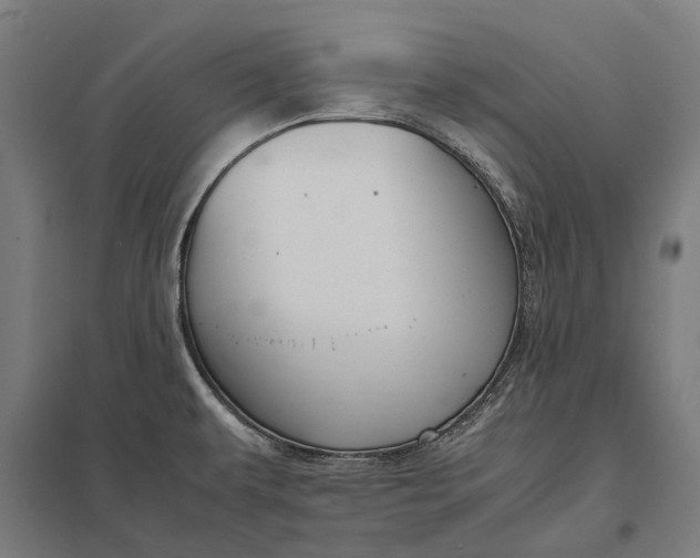 X0000097921479200803281414