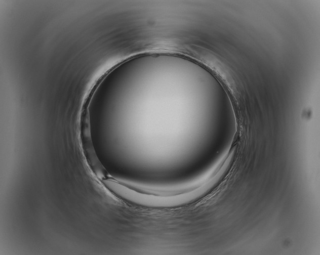 X0000097921480200803281414