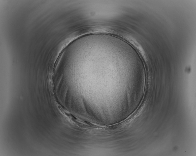 X0000097921481200803281414