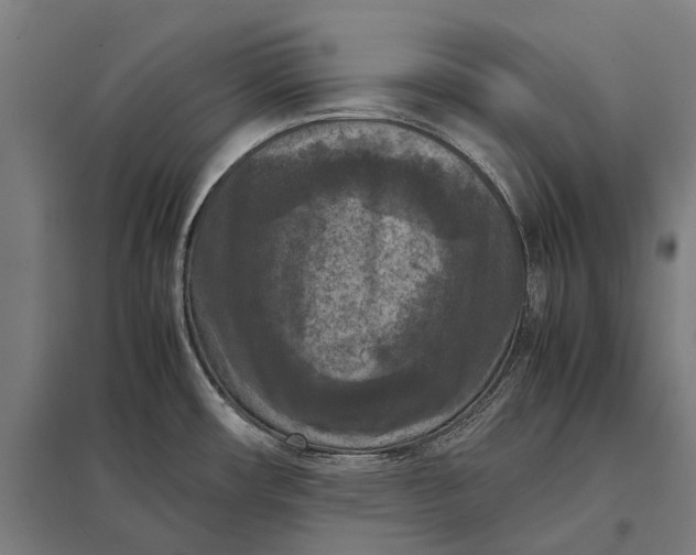 X0000097921482200803281414