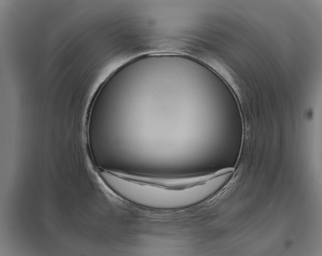 X0000097921485200803281414