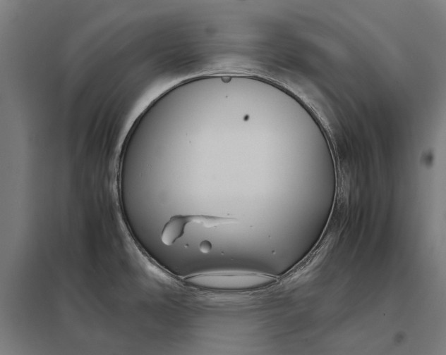 X0000097921486200803281414