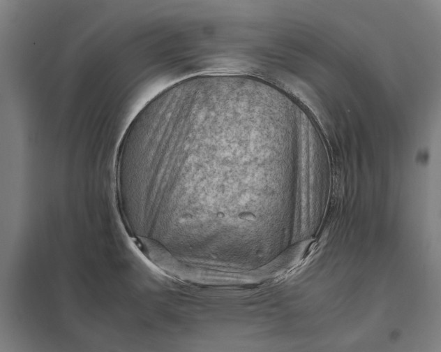 X0000097921487200803281414