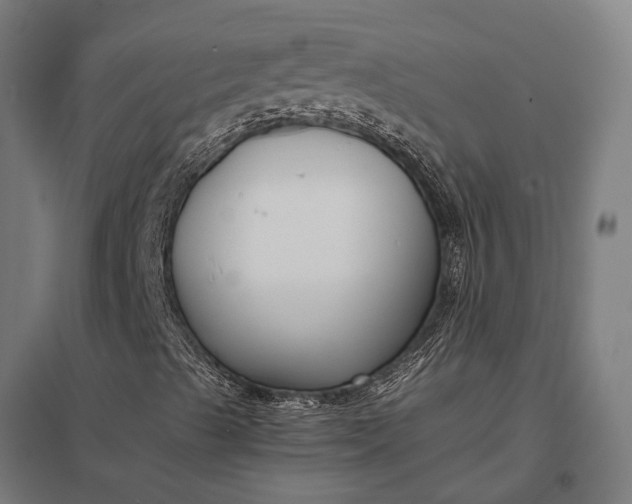 X0000097921489200803281414