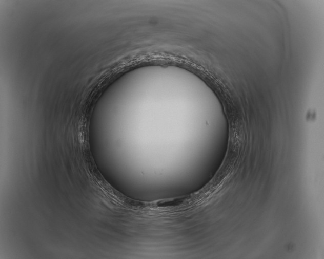 X0000097921490200803281414