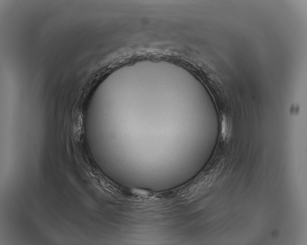 X0000097921492200803281414